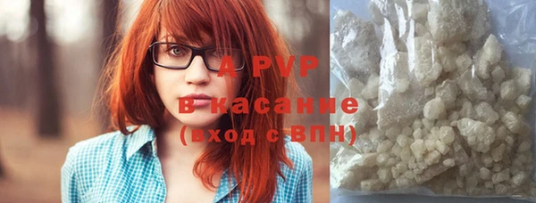 стафф Абаза