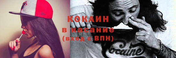 гашик Алексин