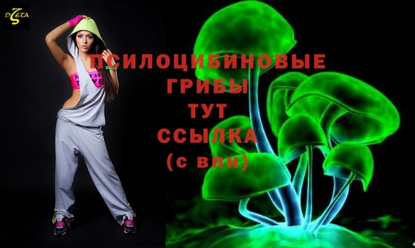 бошки Алзамай