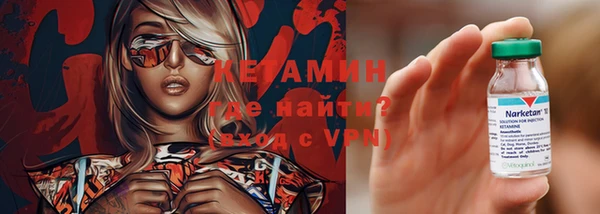 гашик Алексин