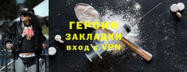 гашик Алексин