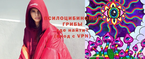 скорость Гусев