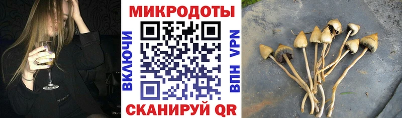 дарнет шоп  МЕГА как войти  Псилоцибиновые грибы GOLDEN TEACHER  Назрань 